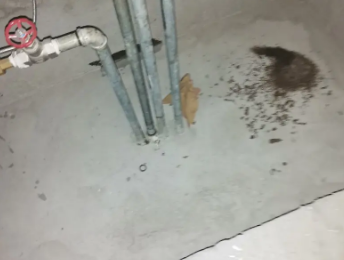 昆都仑卫生间测漏水价格明细