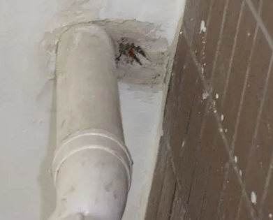 昆都仑漏水检测哪家好